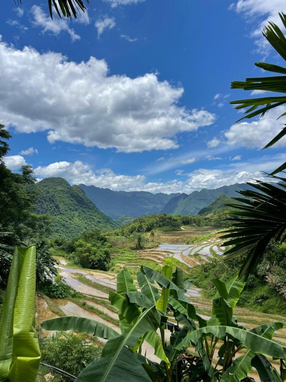 לינה וארוחת בוקר Huong Ba Thuoc Puluong Aroma מראה חיצוני תמונה